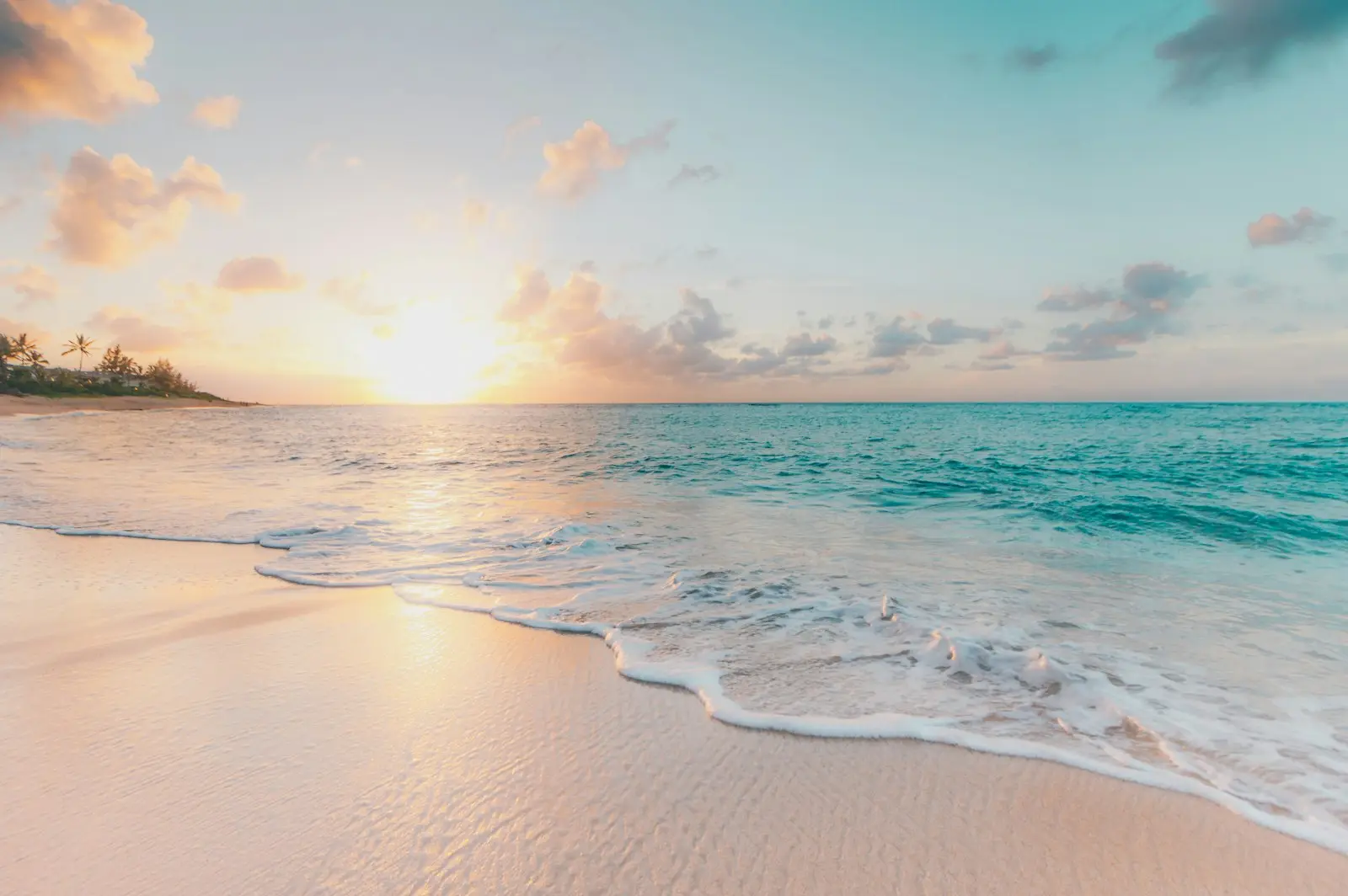 Tropical beach