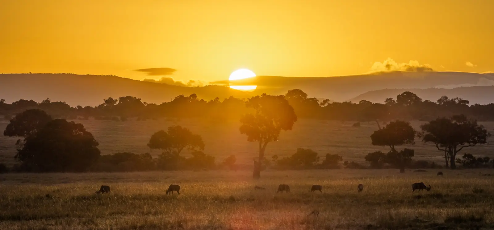 Kenya safari and culture